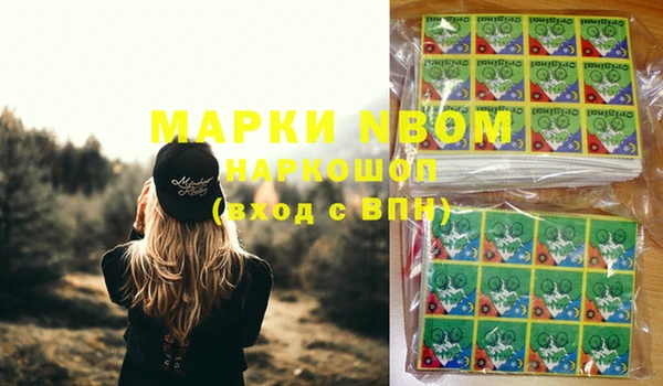 стаф Балахна