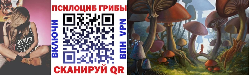 Галлюциногенные грибы MAGIC MUSHROOMS  Купить где  Дальнереченск 